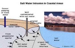 Salt water intrusion poses a significant threat to water supplies in the Levant.  
